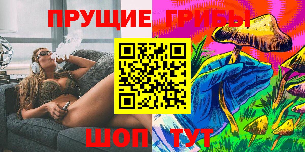 Саяногорск  Псилоцибиновые грибы Psilocybine cubensis  Вход с VPN 